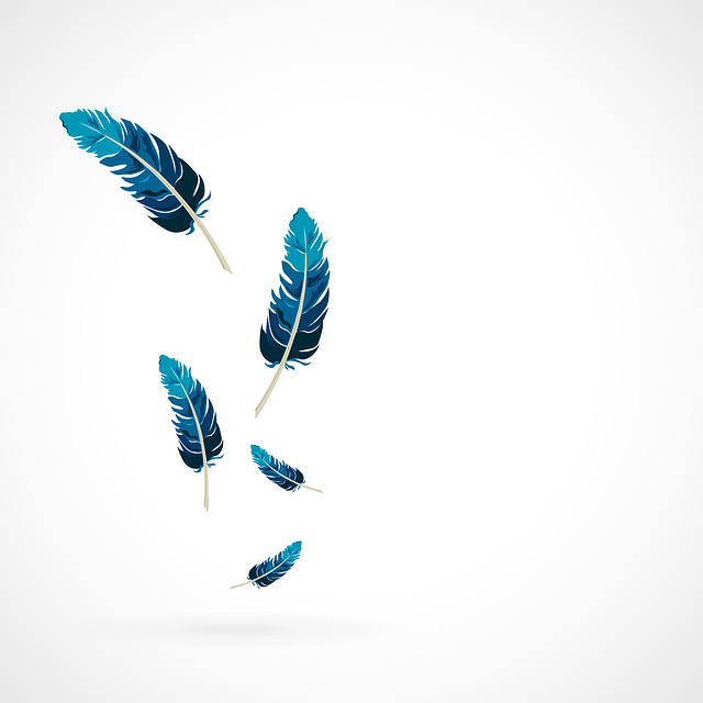 Science in School: Fancy Feathers: the Basics