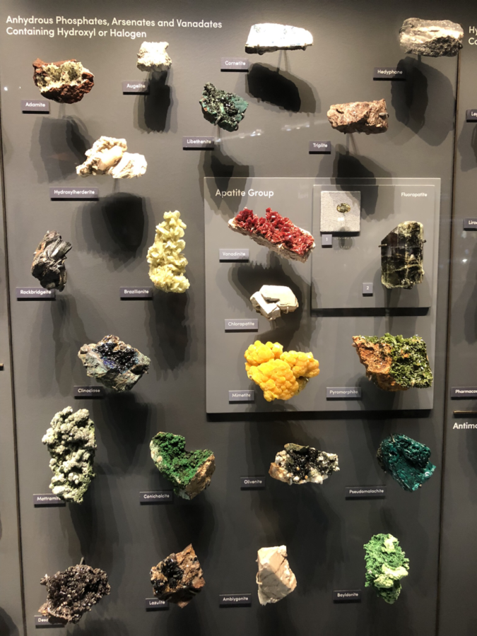 Core Earth Science Trip to the Natural History Museum